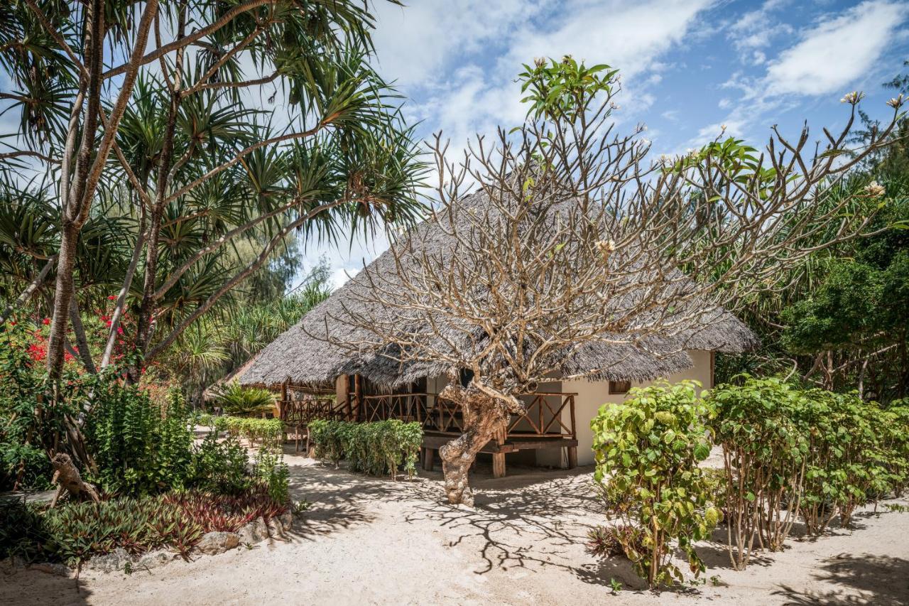 Hakuna Majiwe Beach Lodge Paje Ngoại thất bức ảnh